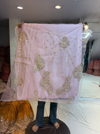 Baby Pink Designer Lehenga