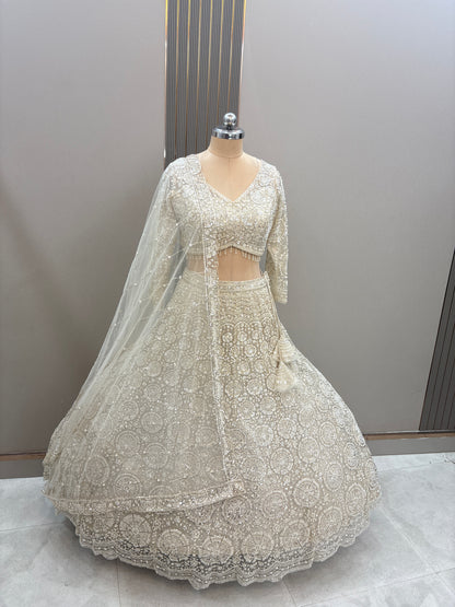 Gorgeous Cherry red on red Monotone Crop top Lehenga