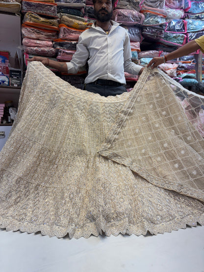 Gorgeous chiku golden Lehenga