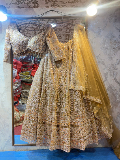 Pleasing golden beige crop top Lehenga