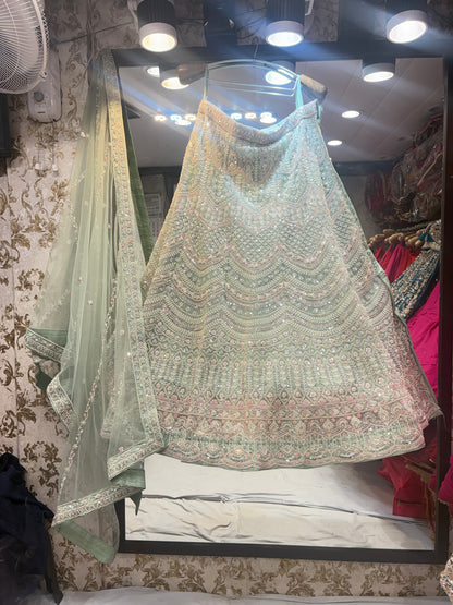 Pretty green crop top Lehenga