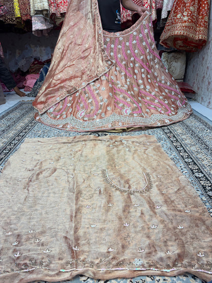 Fabulous peach Lehenga