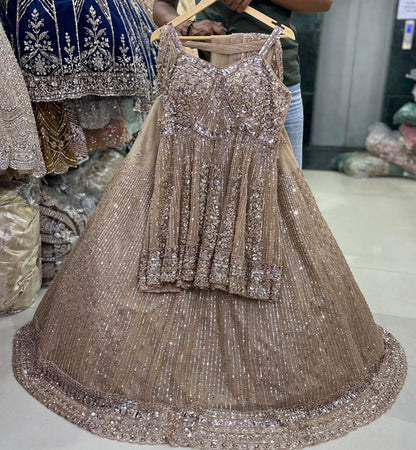 Baby pink chiku colour maroon Crop Top Lehenga (Copy)