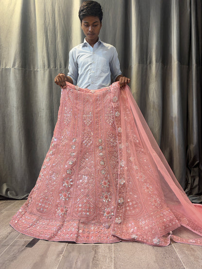 Embellished pink peach Lehenga