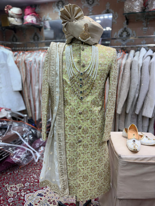Pista green sherwani