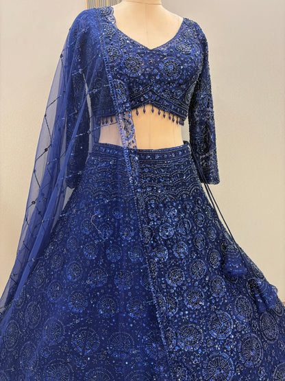 Gorgeous Cherry red on red Monotone Crop top Lehenga