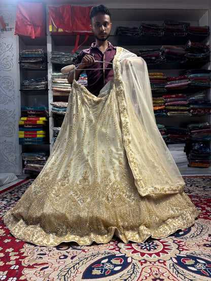 Amazing light golden Lehenga
