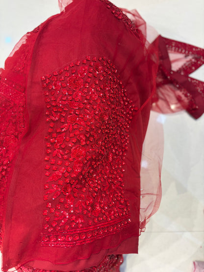 लाल पर लाल भारी मोनोटोन लहंगा