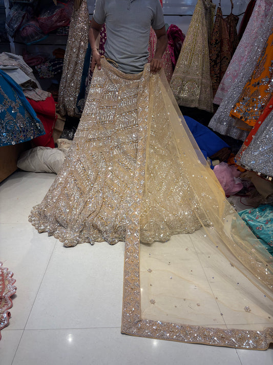 Heavy golden handwork Lehenga
