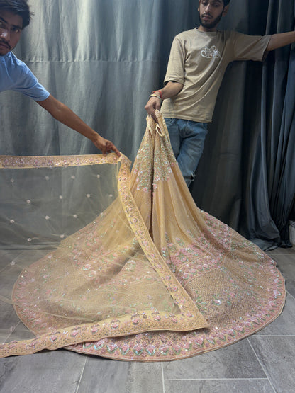 Charming peach crop top Lehenga