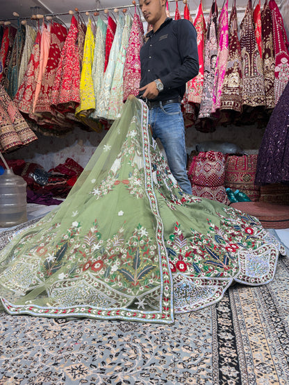Lavishing green Lehenga