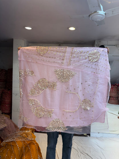 Baby Pink Designer Lehenga
