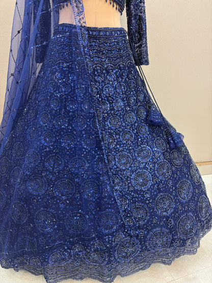 Gorgeous Cherry red on red Monotone Crop top Lehenga