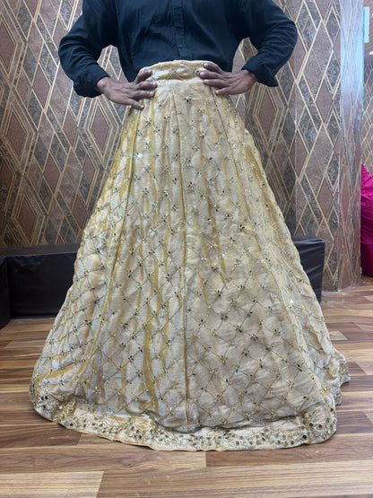 Lavishing golden Sequence Lehenga