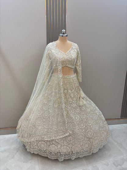 Gorgeous Cherry red on red Monotone Crop top Lehenga