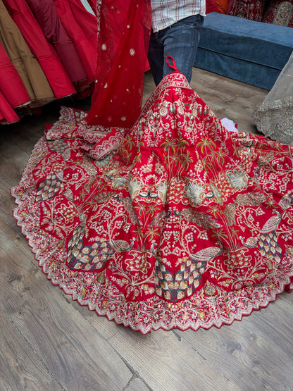 Red peacock Bridal Lehenga
