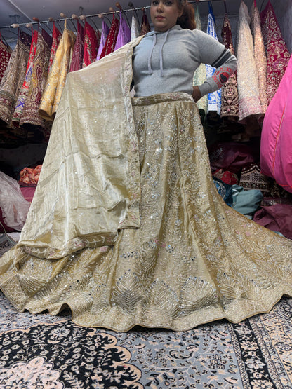Stunning Golden mirror work Lehenga