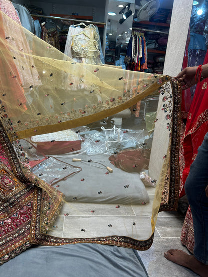 Astonishing pink golden double dupatta bridal Lehenga