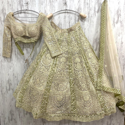 Fabulous green crop top Lehenga