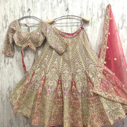 Stunning baby pink red crop top Lehenga