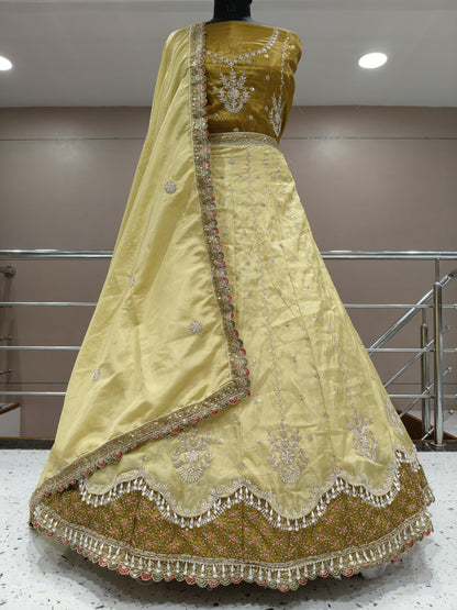 Delightful peach Lehenga