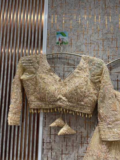 Beautiful purple crop top Lehenga