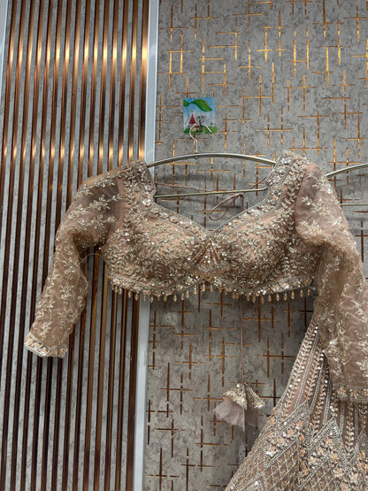 Awesome Baby pink Crop Top Lehenga