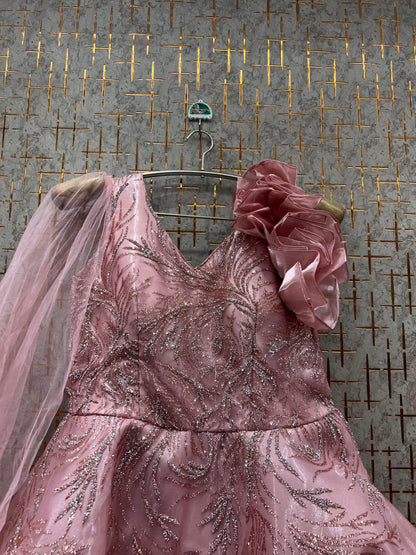 Gorgeous Grey Sky blue gown