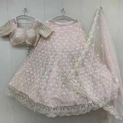 Amazing pink monotone Crop top Lehenga