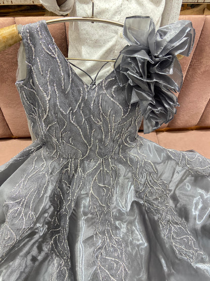 Pretty grey silver Gown