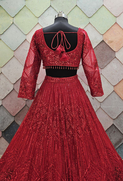 Majestic Cherry red on red monotone Crop top Lehenga