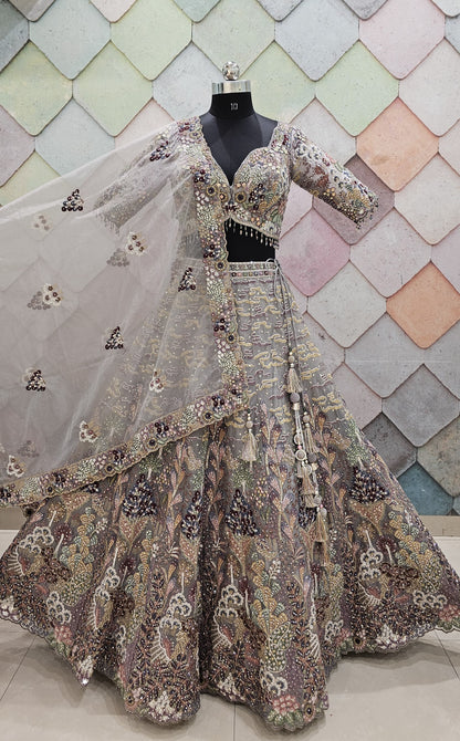 Something grey silver Organza crop top Lehenga