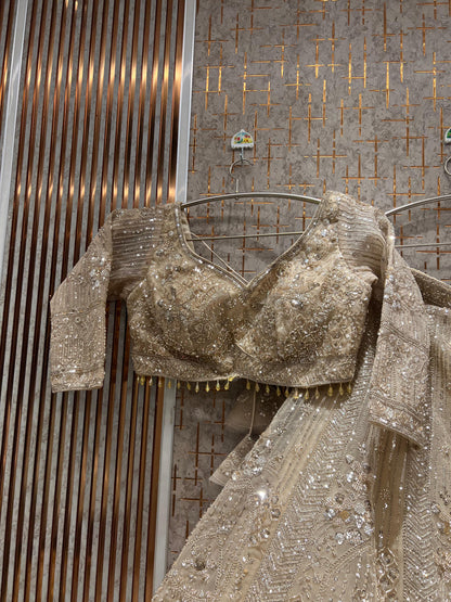 Lavishing Golden peach Crop Top Lehenga