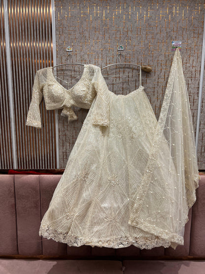 Delightful Red on Red Monotone Crop Top Lehenga