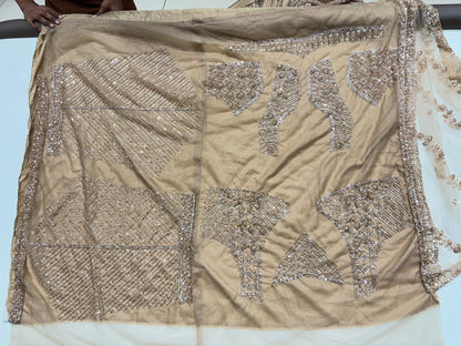 Pleasing beige golden Net Lehenga