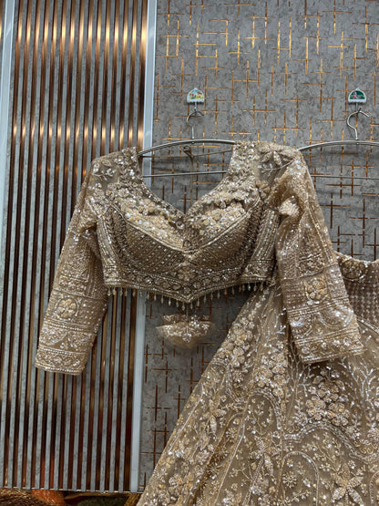 Lavishing Hot pink Crop Top Lehenga