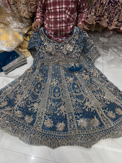 Pista Net crop top Lehenga - Shopping World