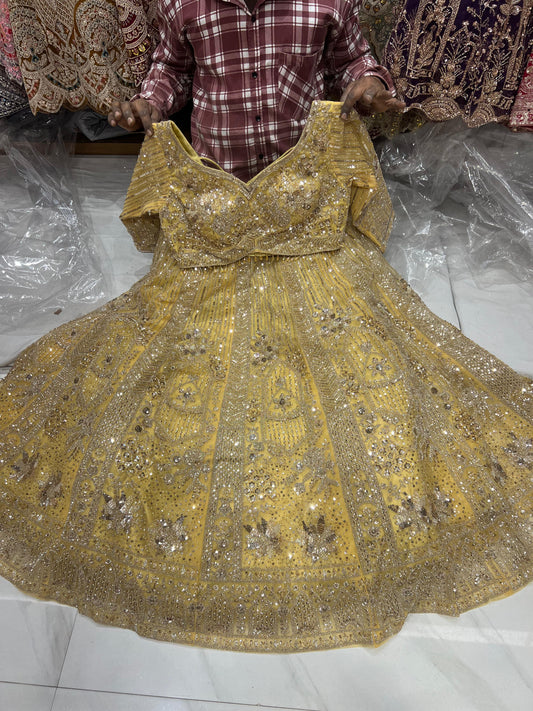 Pista Net crop top Lehenga - Shopping World