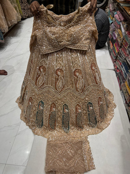 Double shade pink golden Peacock Crop Top Lehenga