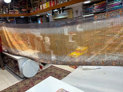 Fantastic brown fancy saree