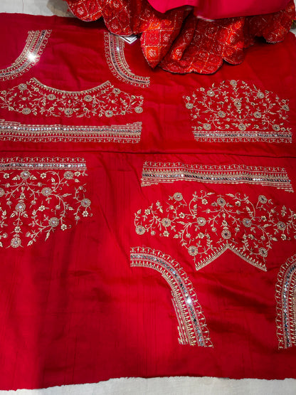 Amazing red lehenga