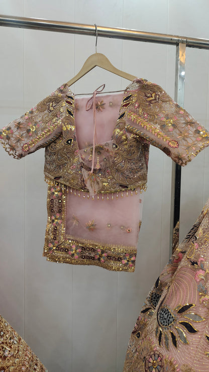 Embellished Sky blue peacock crop Top Ready To Wear Lehenga