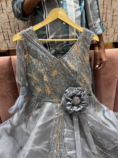 Glamorous Grey Golden gown