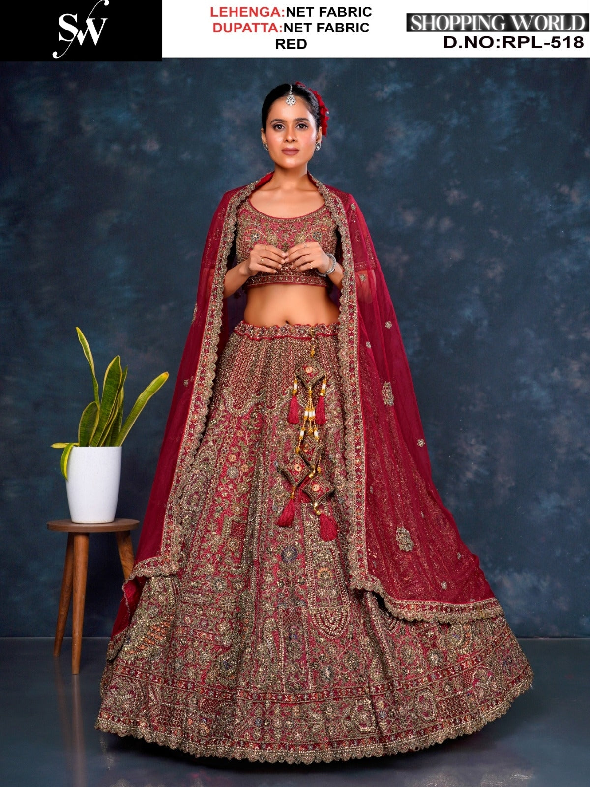 Rani pink Net Lehenga - Shopping World