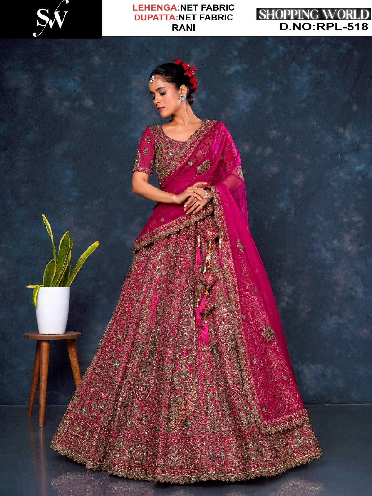 Rani pink Net Lehenga - Shopping World