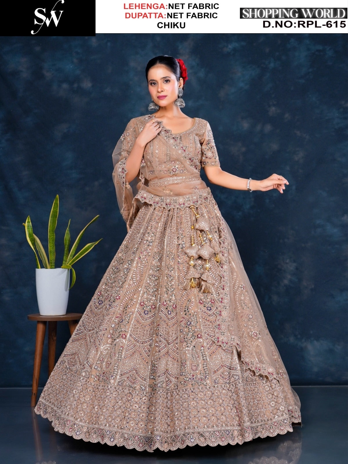 Red Net Lehenga - Shopping World