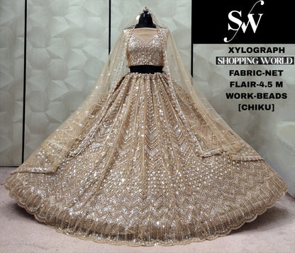 Rust orange Net Lehenga