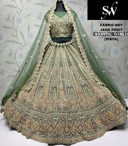 Wine Net Lehenga - Shopping World