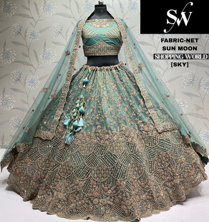 Gajri pink Net Lehenga - Shopping World