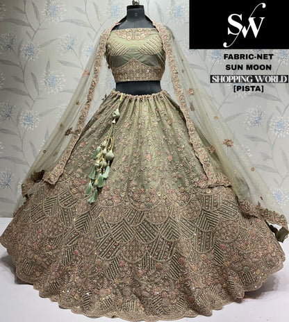 Gajri pink Net Lehenga - Shopping World